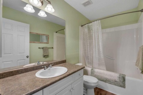 117 Mckenzie Towne Gate Se, Calgary, AB - Indoor Photo Showing Bathroom