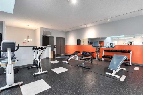 101-8 Hemlock Crescent Sw, Calgary, AB - Indoor Photo Showing Gym Room