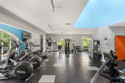 101-8 Hemlock Crescent Sw, Calgary, AB - Indoor Photo Showing Gym Room