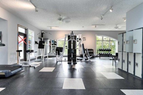 101-8 Hemlock Crescent Sw, Calgary, AB - Indoor Photo Showing Gym Room