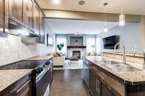 9 Cranwell Court Se, Calgary, AB - Indoor Photo Showing Kitchen With Fireplace With Double Sink With Upgraded Kitchen