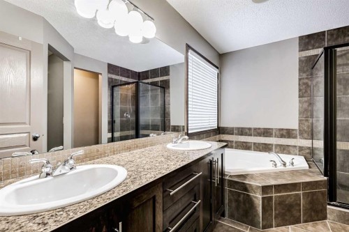 9 Cranwell Court Se, Calgary, AB - Indoor Photo Showing Bathroom