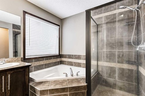 9 Cranwell Court Se, Calgary, AB - Indoor Photo Showing Bathroom