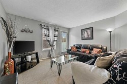 165 Saddlebrook Point NE Calgary, AB T3J 0G3