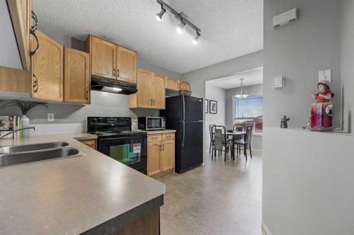 165 Saddlebrook Point Ne, Calgary, AB - Indoor Photo Showing Kitchen With Double Sink