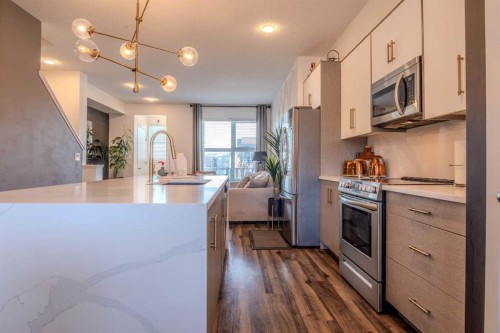 9021 46 Street Ne, Calgary, AB - Indoor Photo Showing Kitchen With Upgraded Kitchen