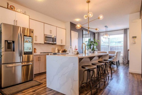 9021 46 Street Ne, Calgary, AB - Indoor Photo Showing Kitchen