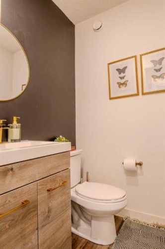 9021 46 Street Ne, Calgary, AB - Indoor Photo Showing Bathroom