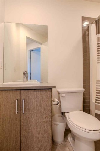9021 46 Street Ne, Calgary, AB - Indoor Photo Showing Bathroom