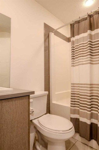 9021 46 Street Ne, Calgary, AB - Indoor Photo Showing Bathroom