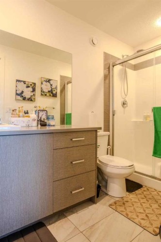 9021 46 Street Ne, Calgary, AB - Indoor Photo Showing Bathroom