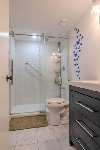 9021 46 Street Ne, Calgary, AB - Indoor Photo Showing Bathroom