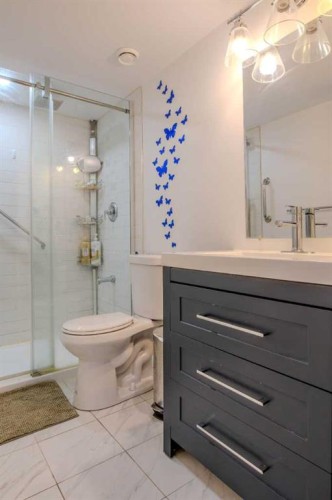 9021 46 Street Ne, Calgary, AB - Indoor Photo Showing Bathroom