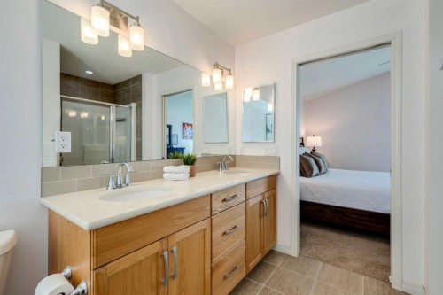 123 Marquis Green Se, Calgary, AB - Indoor Photo Showing Bathroom