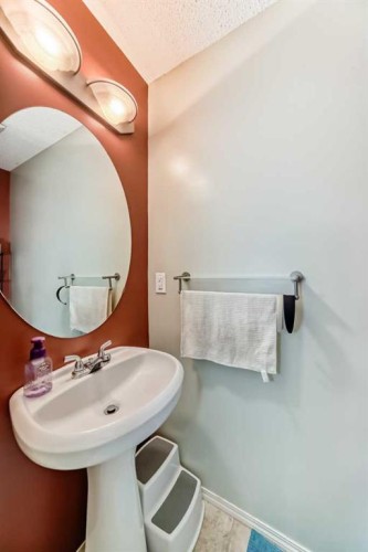 244 Saddlebrook Point Ne, Calgary, AB - Indoor Photo Showing Bathroom