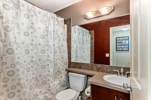 244 Saddlebrook Point Ne, Calgary, AB - Indoor Photo Showing Bathroom