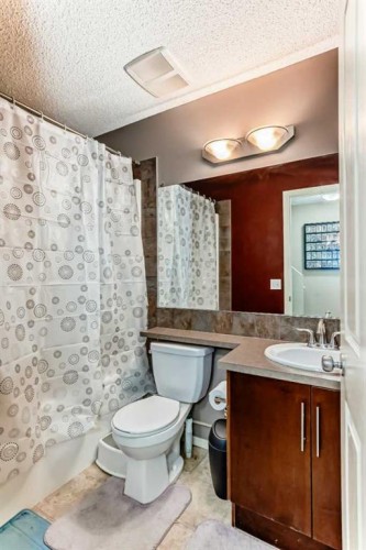 244 Saddlebrook Point Ne, Calgary, AB - Indoor Photo Showing Bathroom