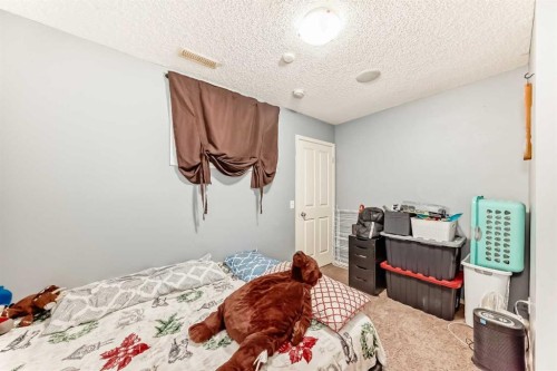 244 Saddlebrook Point Ne, Calgary, AB - Indoor Photo Showing Bedroom
