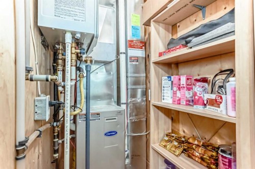 244 Saddlebrook Point Ne, Calgary, AB - Indoor Photo Showing Basement