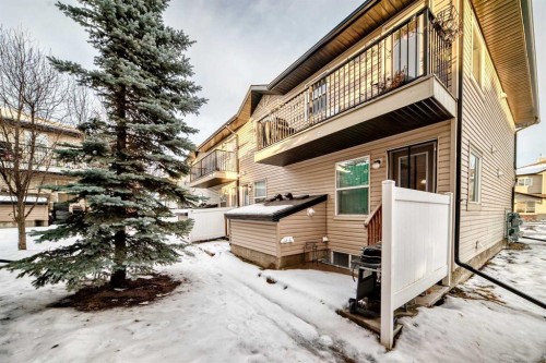 244 Saddlebrook Point Ne, Calgary, AB - Outdoor