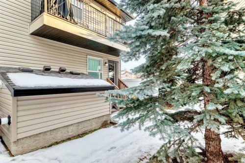 244 Saddlebrook Point Ne, Calgary, AB - Outdoor