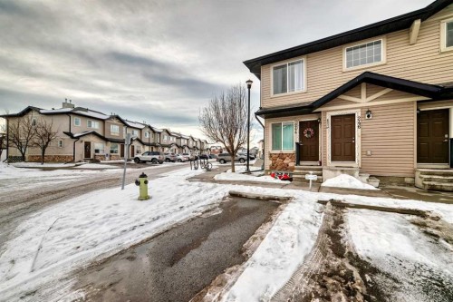 244 Saddlebrook Point Ne, Calgary, AB - Outdoor