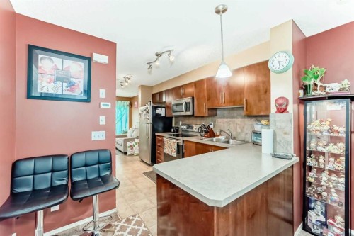 244 Saddlebrook Point Ne, Calgary, AB - Indoor Photo Showing Kitchen With Double Sink