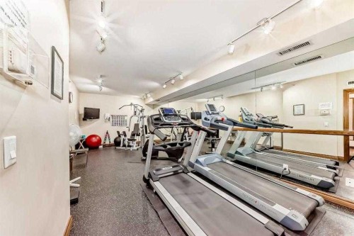 3206-3206 Lake Fraser Court Se, Calgary, AB - Indoor Photo Showing Gym Room
