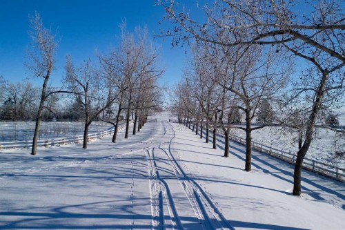 434205 32 Street East, Rural Foothills County, AB - Outdoor With View