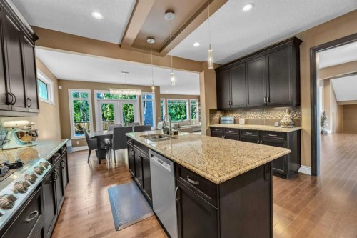 172 Panatella Crescent Nw, Calgary, AB - Indoor Photo Showing Kitchen With Double Sink With Upgraded Kitchen