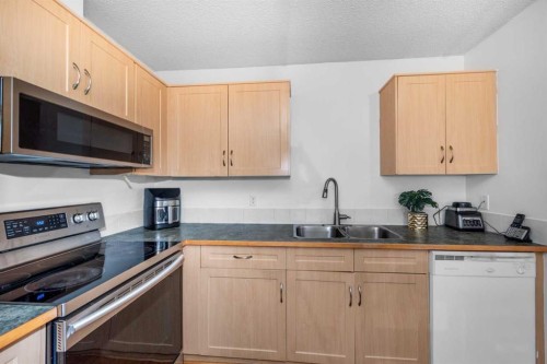 1001-111 Tarawood Lane Ne, Calgary, AB - Indoor Photo Showing Kitchen With Double Sink