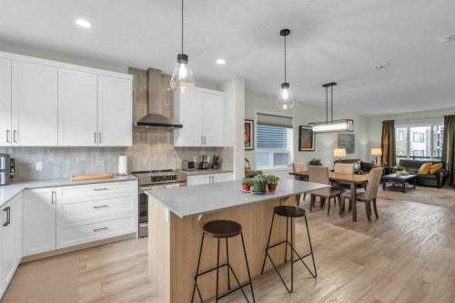 315 Wolf Creek Way Se, Calgary, AB - Indoor Photo Showing Kitchen With Upgraded Kitchen
