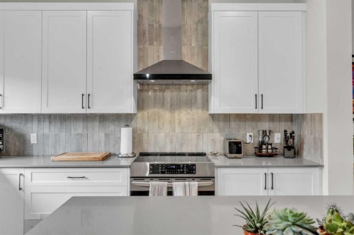 315 Wolf Creek Way Se, Calgary, AB - Indoor Photo Showing Kitchen