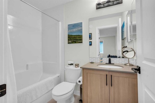 315 Wolf Creek Way Se, Calgary, AB - Indoor Photo Showing Bathroom