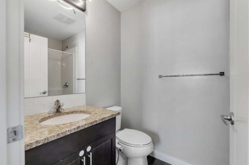 23 Redstone Circle Ne, Calgary, AB - Indoor Photo Showing Bathroom