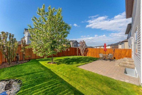 214 Saddlemont Boulevard Ne, Calgary, AB - Outdoor With Backyard
