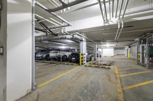 302-200 Harvest Hills Place Ne, Calgary, AB - Indoor Photo Showing Garage