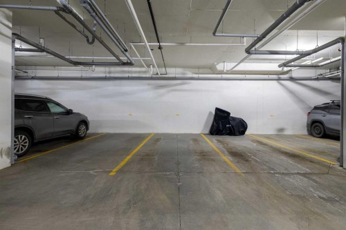 302-200 Harvest Hills Place Ne, Calgary, AB - Indoor Photo Showing Garage