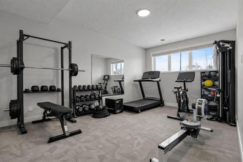 137 Waters Edge Drive, Heritage Pointe, AB - Indoor Photo Showing Gym Room