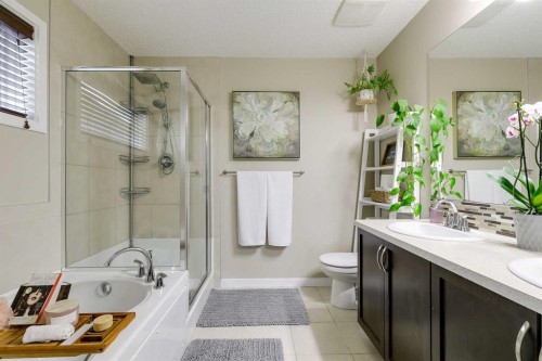 114 Cranford Bay Se, Calgary, AB - Indoor Photo Showing Bathroom