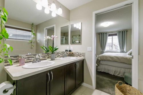 114 Cranford Bay Se, Calgary, AB - Indoor Photo Showing Bathroom