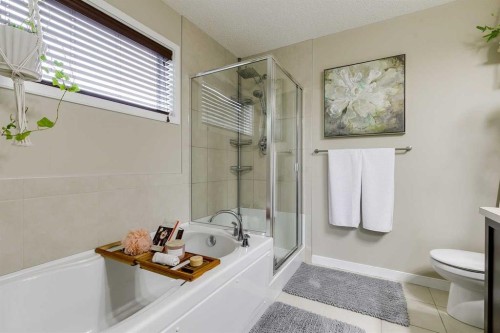 114 Cranford Bay Se, Calgary, AB - Indoor Photo Showing Bathroom