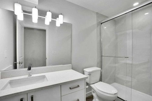 239 Savoy Landing Se, Calgary, AB - Indoor Photo Showing Bathroom