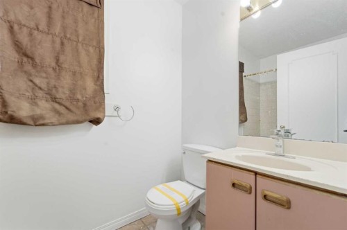 61 Martinview Crescent Ne, Calgary, AB - Indoor Photo Showing Bathroom
