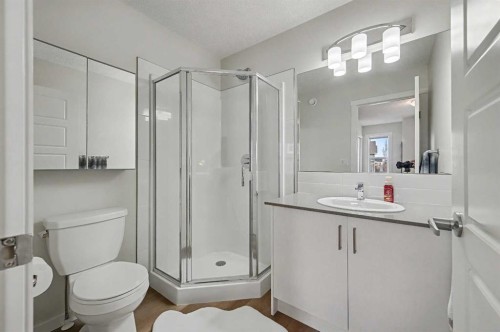 352 Cranbrook Square Se, Calgary, AB - Indoor Photo Showing Bathroom
