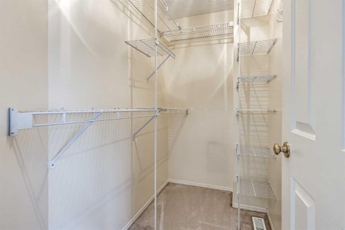 91 Covington Close Ne, Calgary, AB - Indoor With Storage
