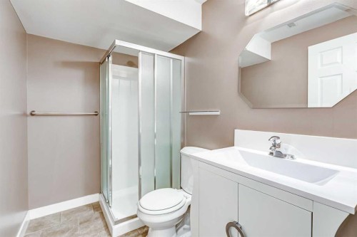91 Covington Close Ne, Calgary, AB - Indoor Photo Showing Bathroom