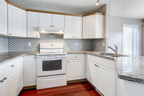 91 Covington Close Ne, Calgary, AB - Indoor Photo Showing Kitchen With Double Sink