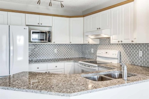91 Covington Close Ne, Calgary, AB - Indoor Photo Showing Kitchen With Double Sink