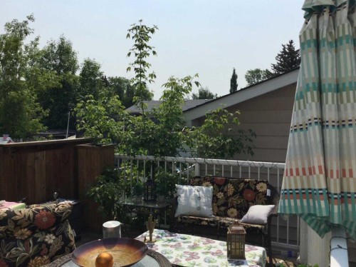 32 Sheppard Road Sw, High River, AB - Outdoor